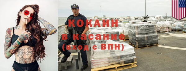 шишки Нязепетровск
