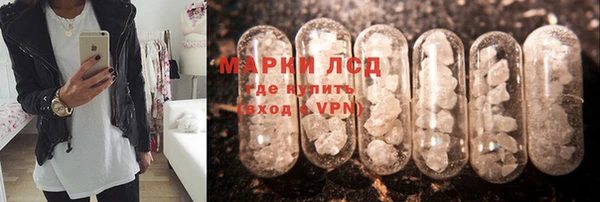 шишки Нязепетровск