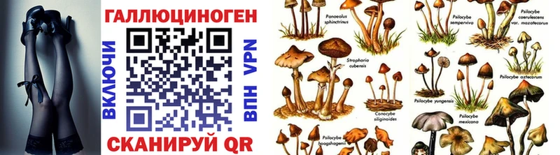 Псилоцибиновые грибы прущие грибы OMG как зайти Усинск
